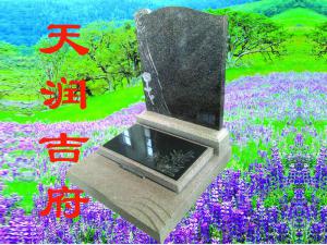 天潤(rùn)吉府